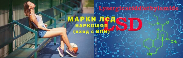 spice Аркадак