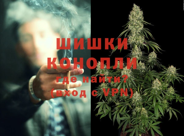 spice Аркадак