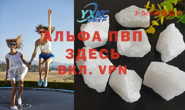 spice Аркадак