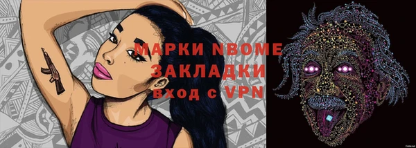 стаф Арсеньев
