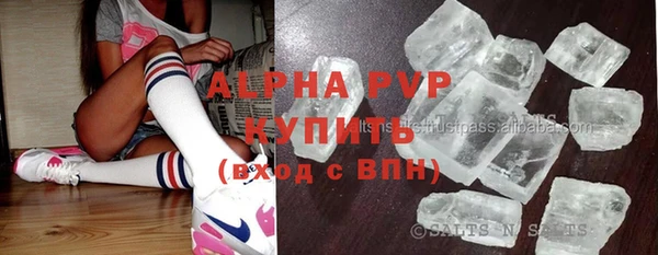 стаф Арсеньев