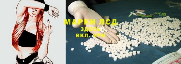 стаф Арсеньев